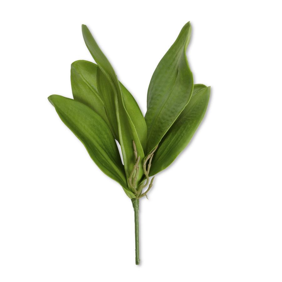 13 Inch Real Touch Orchid Leaves Stem