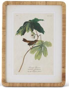 23.25 Inch Rattan Framed Bird/Botanical Prints