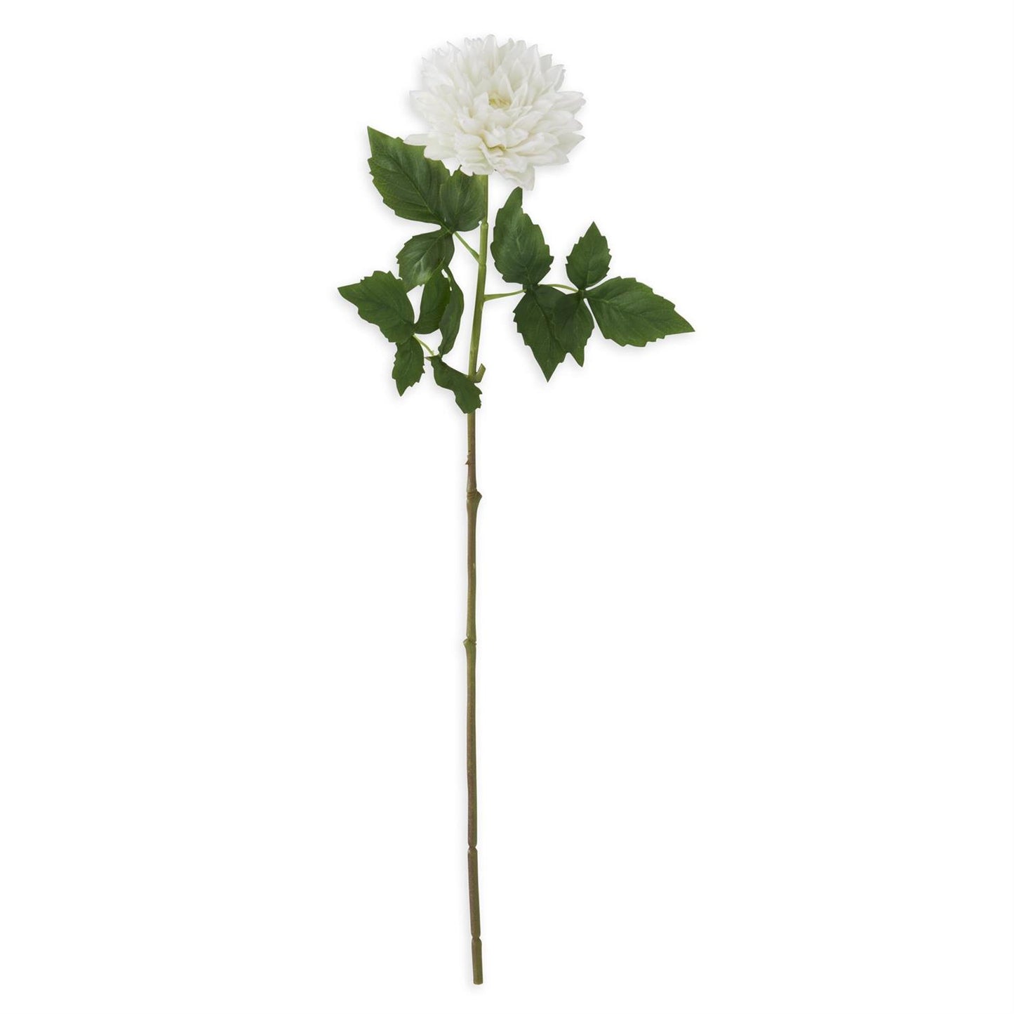 29 Inch White Real Touch Dahlia Stem