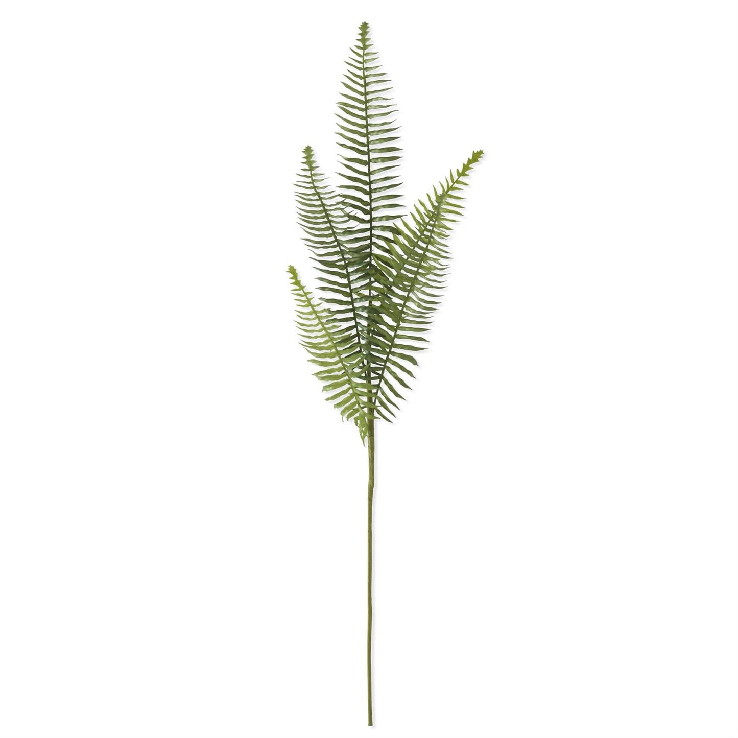 35.5 Inch Fern Stem