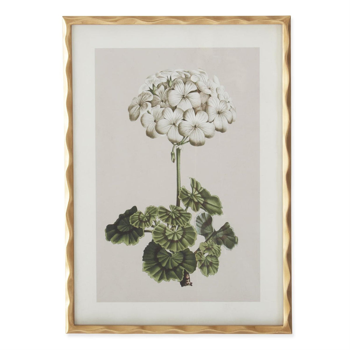 27.5 Inch Gold Ornate Wood Framed White Geranium Prints