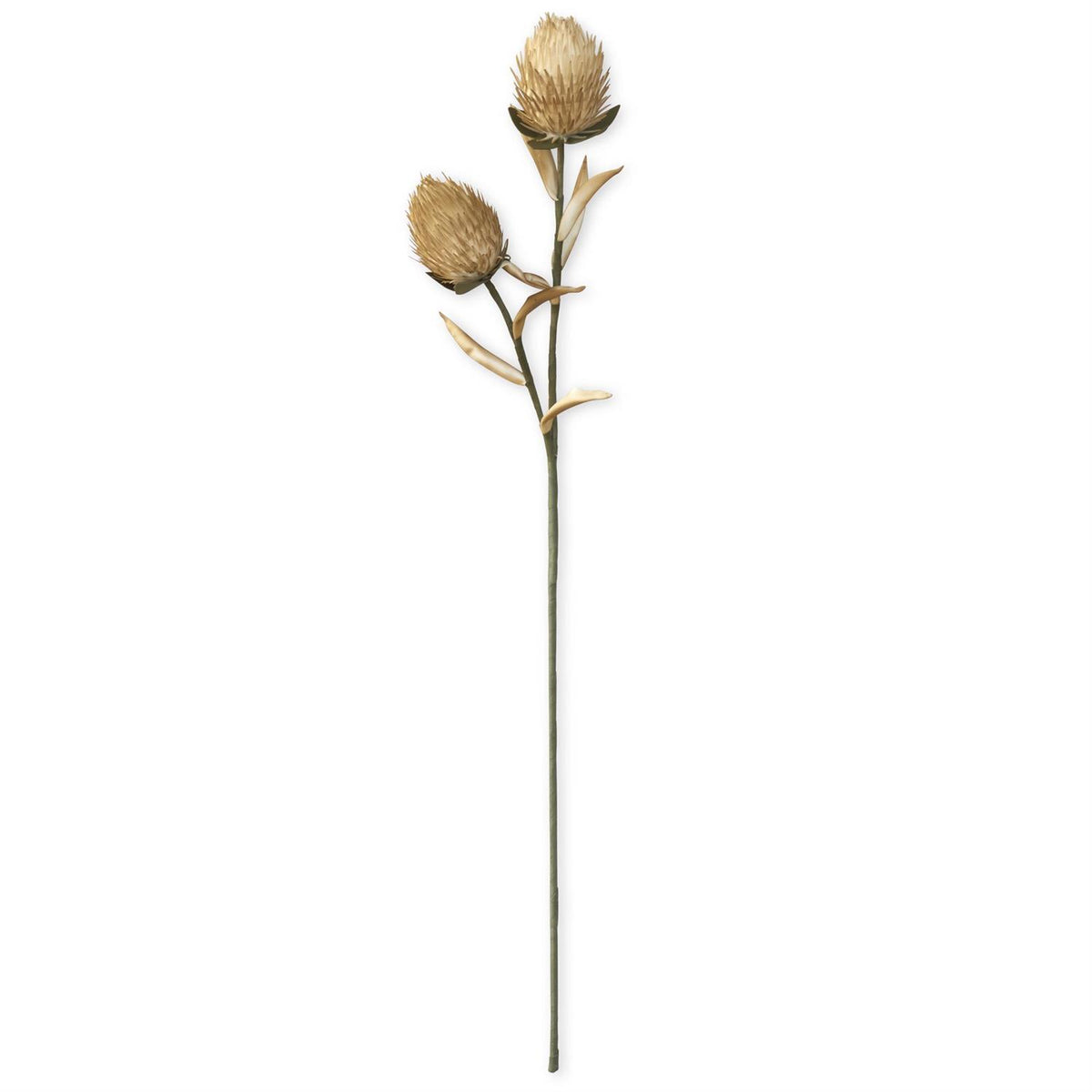 Faux Tan and Green Spiky Pod Stem, 35 Inch