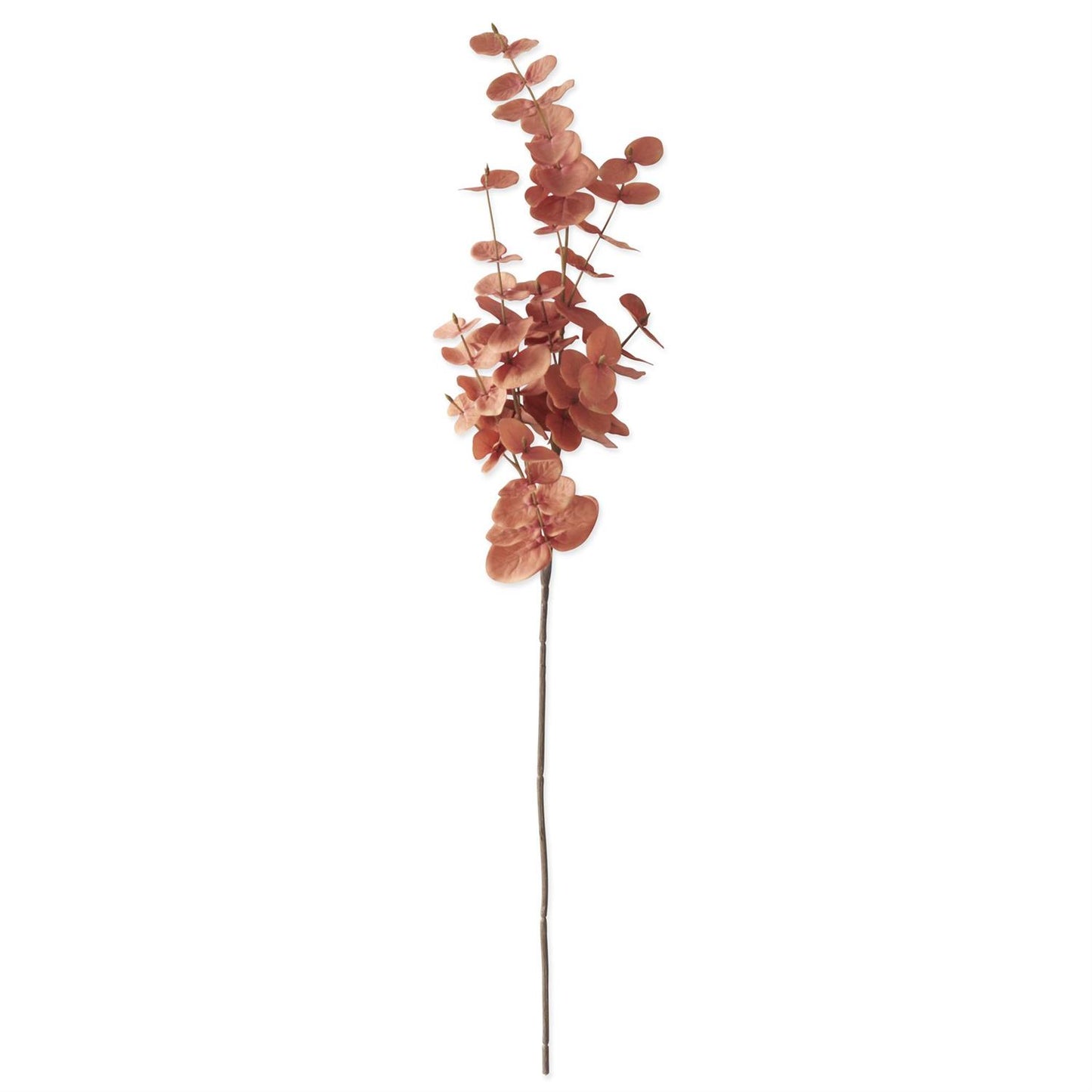 35 Inch Orange Eucalyptus Stem