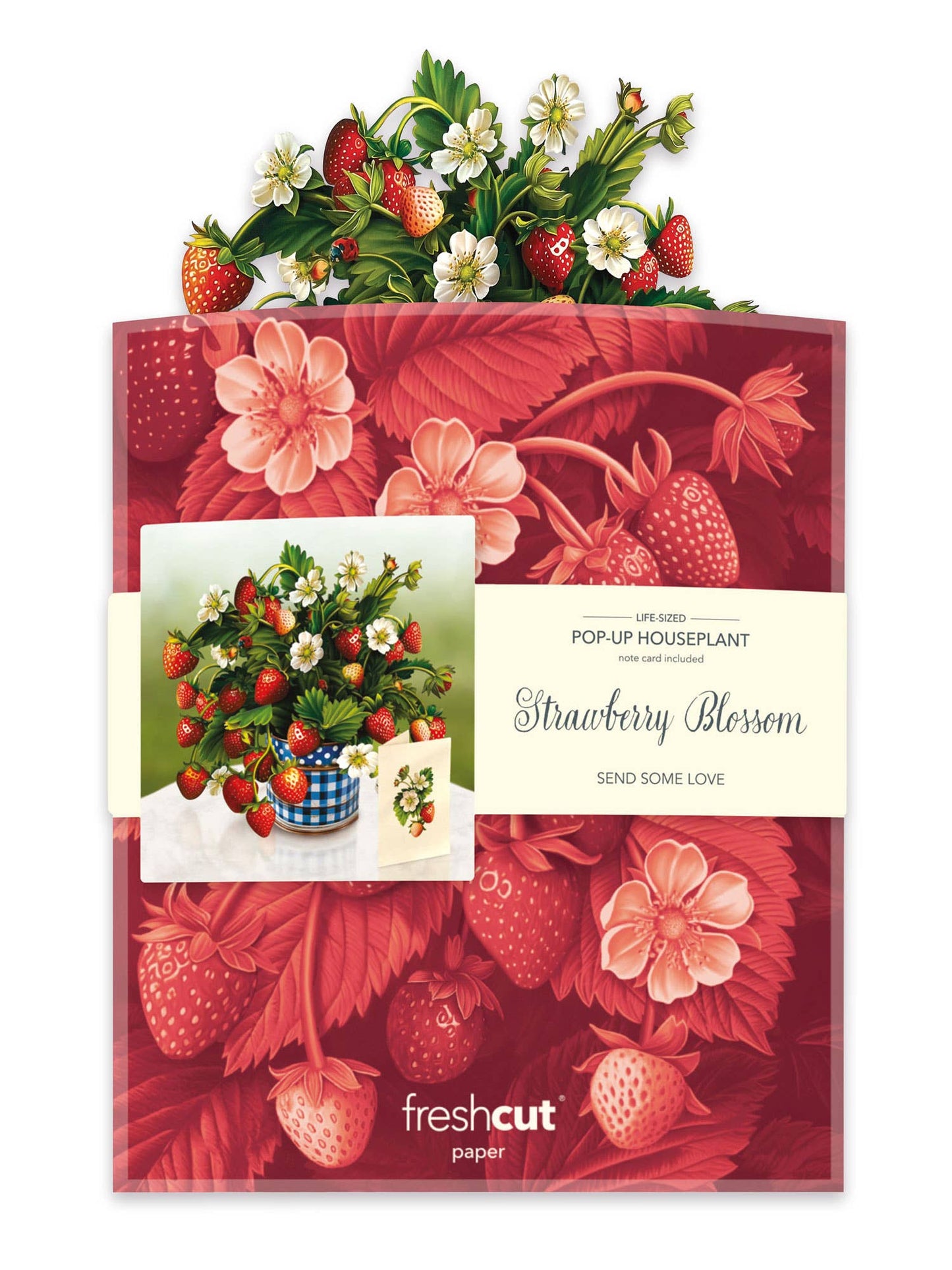 Strawberry Blossom - FreshCut Paper Greeting Card
