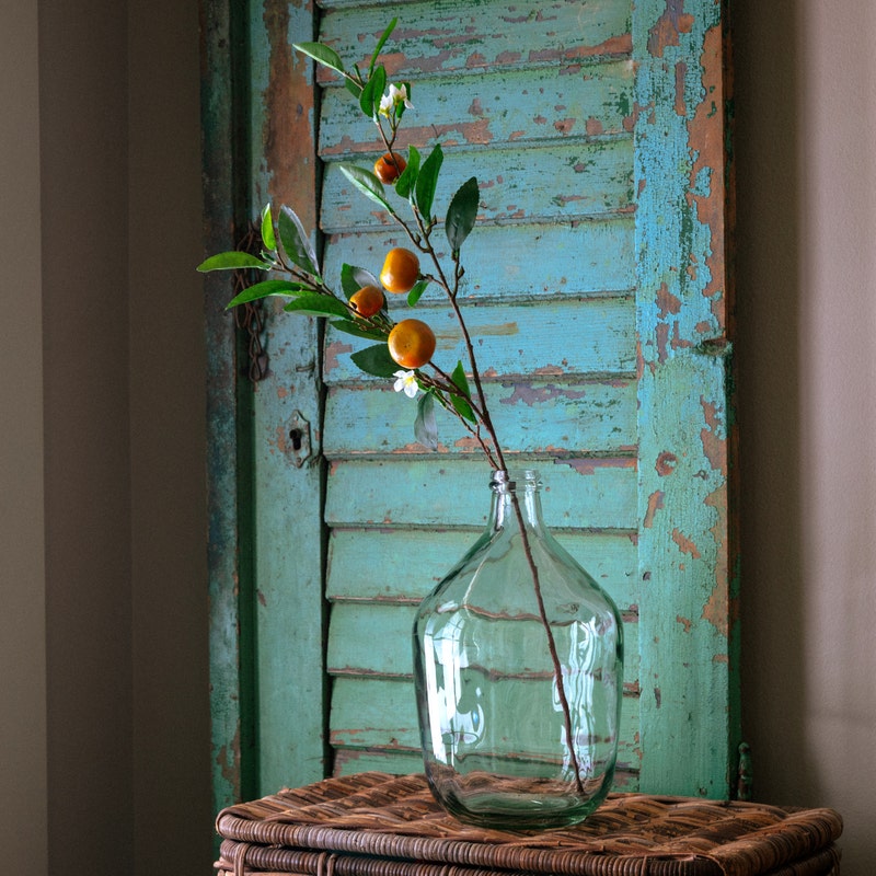 Tangerine Branch