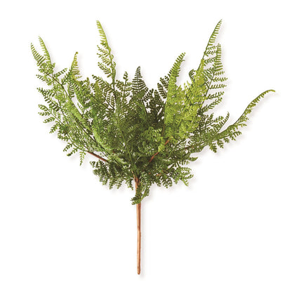 16 Inch Curly Aspidiaceae Fern Spray Stem