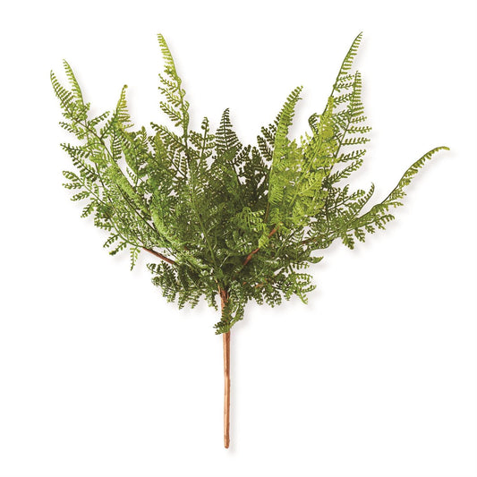 16 Inch Curly Aspidiaceae Fern Spray Stem