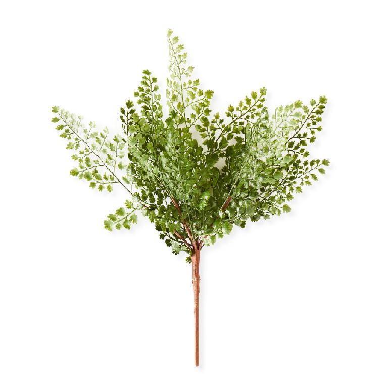 16 Inch Maidenhair Fern Spray Stem