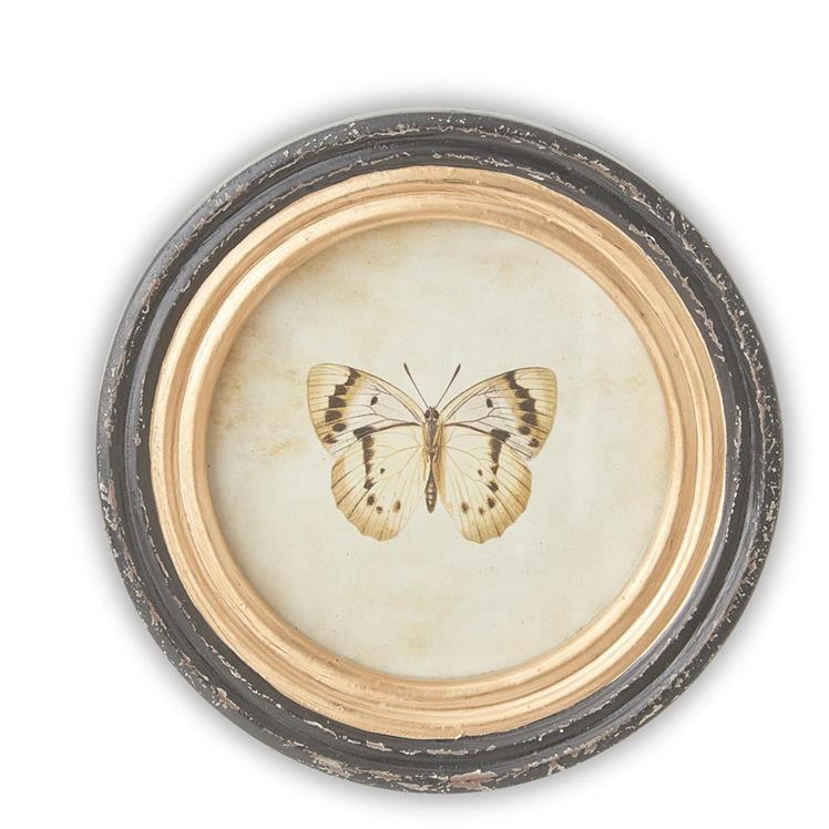 9.5 Inch Black & Gold Framed Round Butterfly Prints