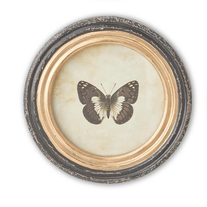9.5 Inch Black & Gold Framed Round Butterfly Prints