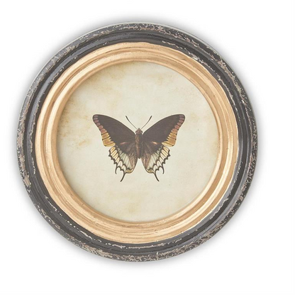 9.5 Inch Black & Gold Framed Round Butterfly Prints