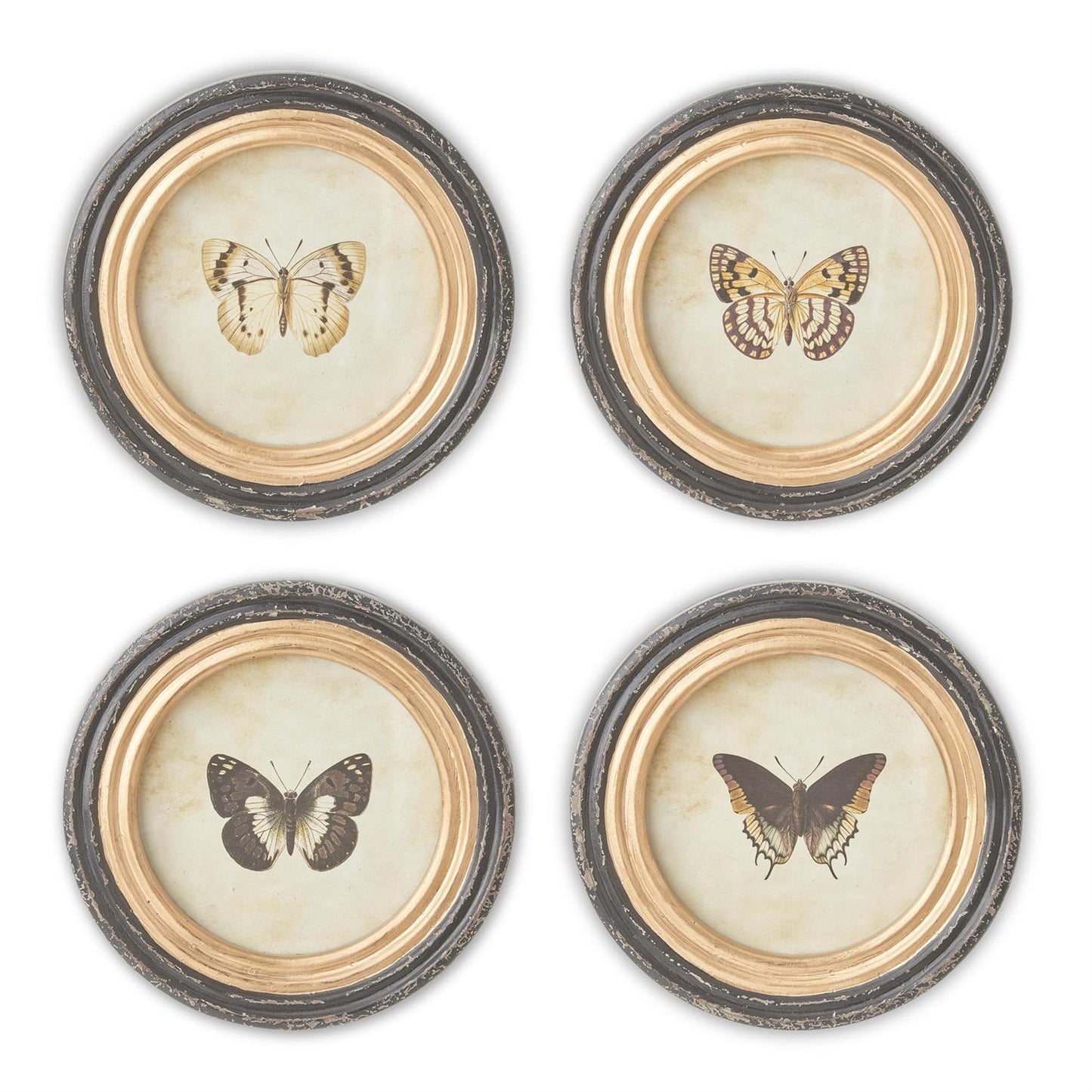 9.5 Inch Black & Gold Framed Round Butterfly Prints