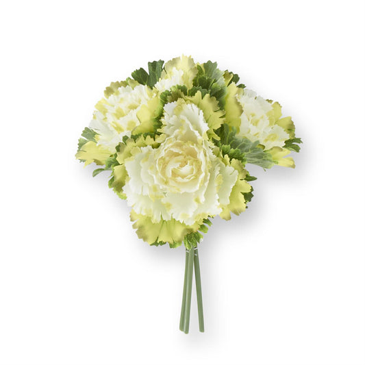 11.5 Inch Cream Cabbage Bundle (3 Stems)