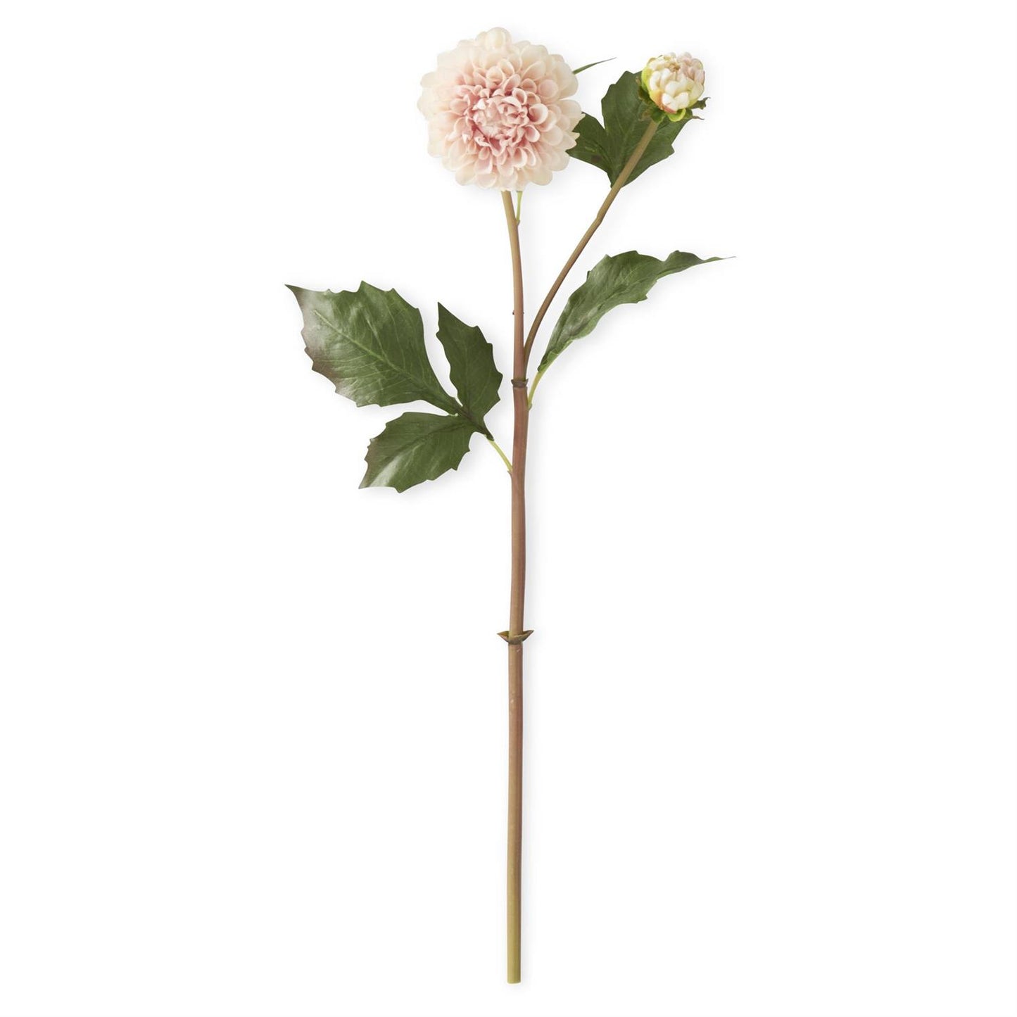 20 Inch Light Peach Real Touch Dahlia Bud & Bloom