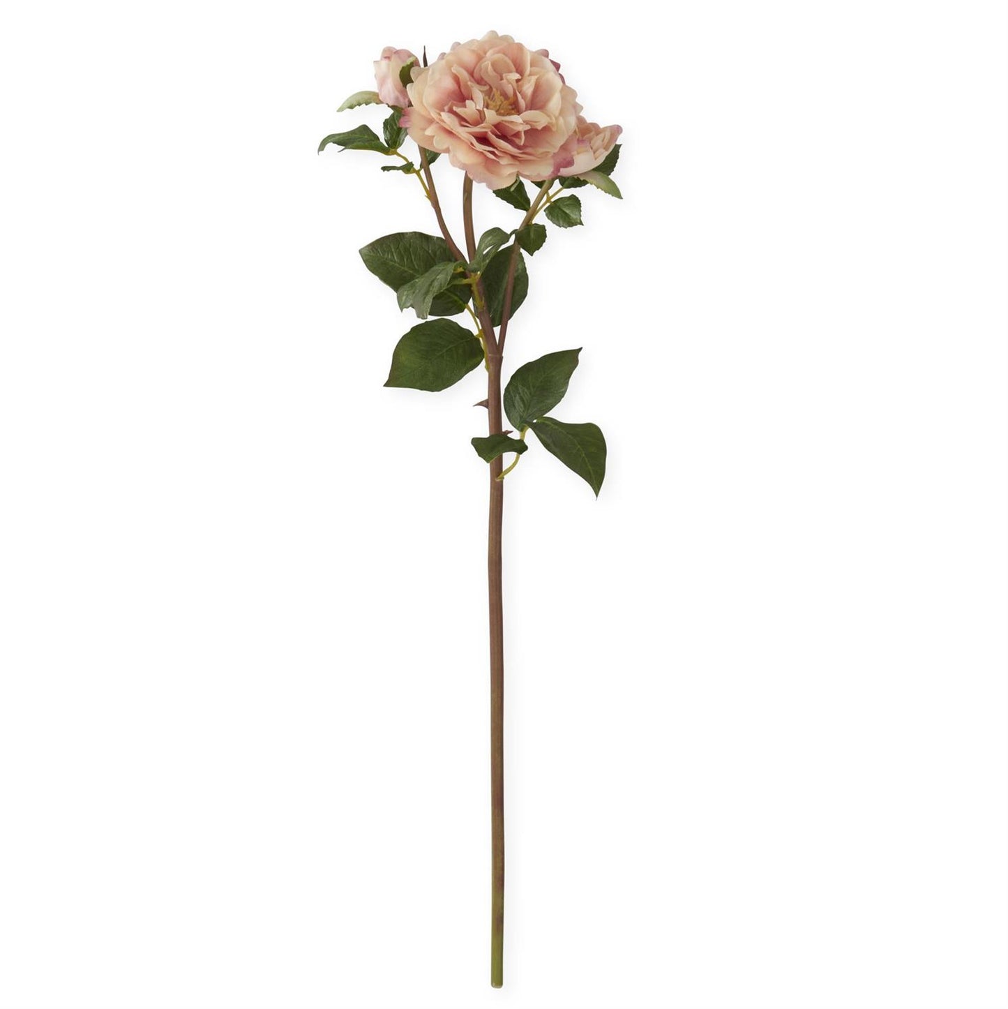 20 Inch Peach Pink Real Touch Distant Drums Rose S