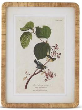 23.25 Inch Rattan Framed Bird/Botanical Prints