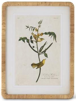 23.25 Inch Rattan Framed Bird/Botanical Prints
