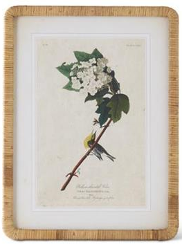 23.25 Inch Rattan Framed Bird/Botanical Prints