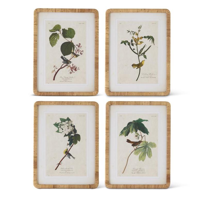 23.25 Inch Rattan Framed Bird/Botanical Prints