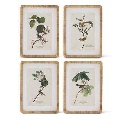 23.25 Inch Rattan Framed Bird/Botanical Prints