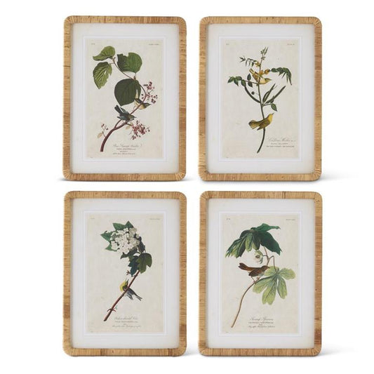 23.25 Inch Rattan Framed Bird/Botanical Prints