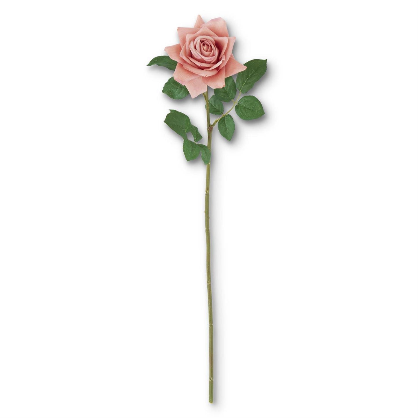 25 Inch Coral Real Touch Duchess Rose Stem