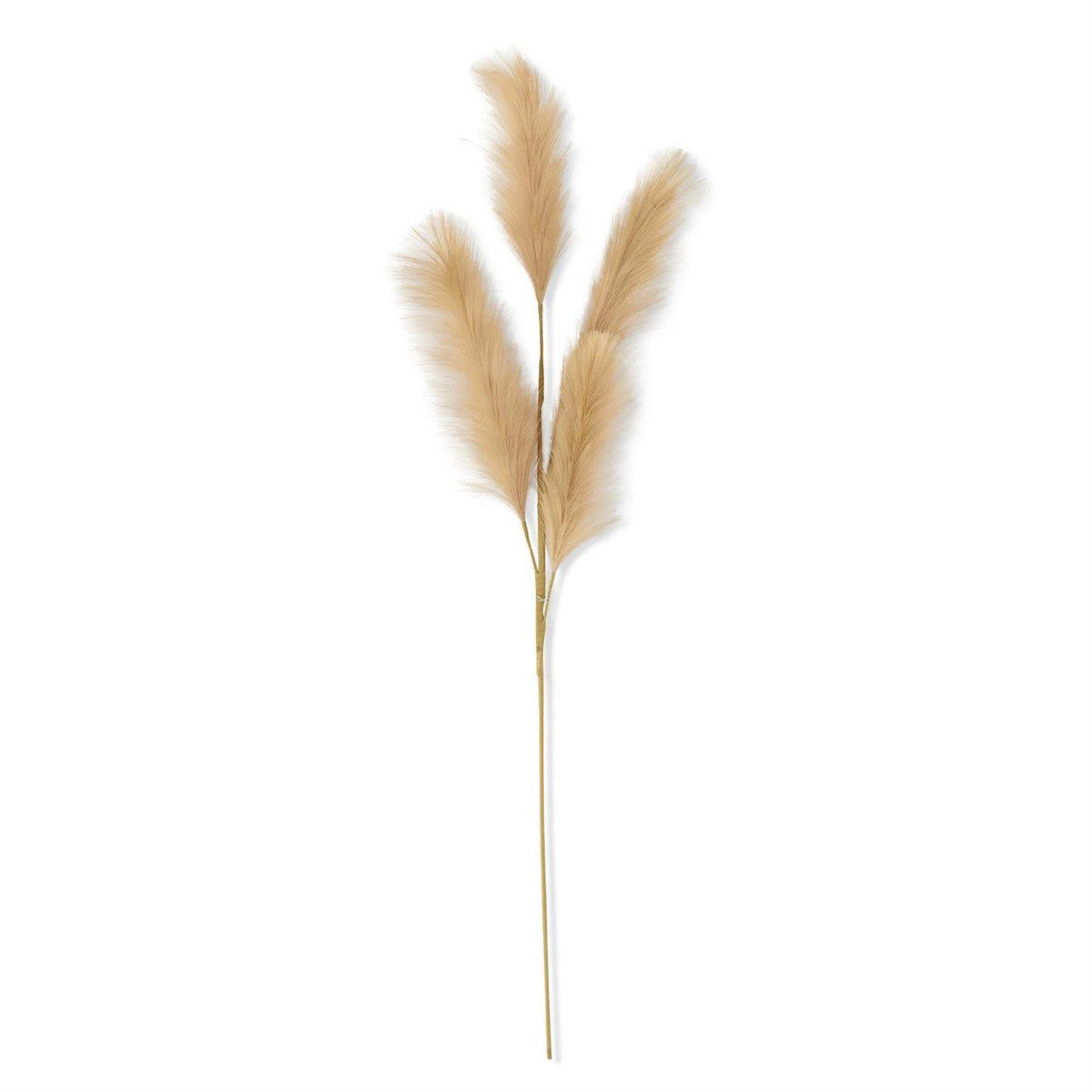 Faux Beige Grass Stem, 42 Inch