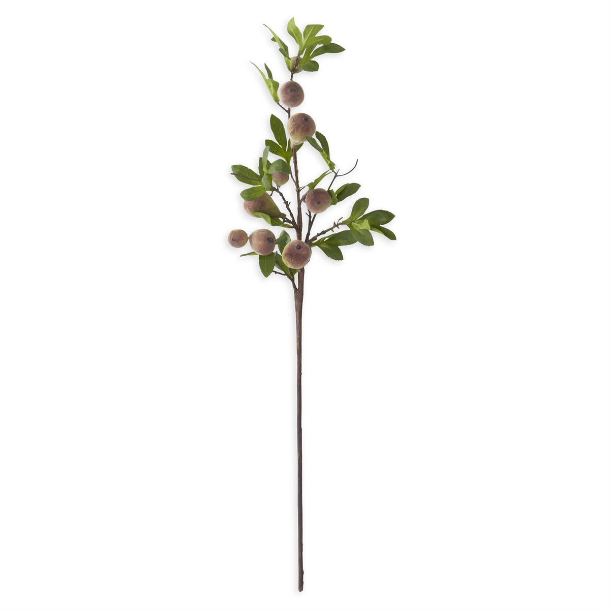 Faux Flocked Fig Stem, 35 Inch
