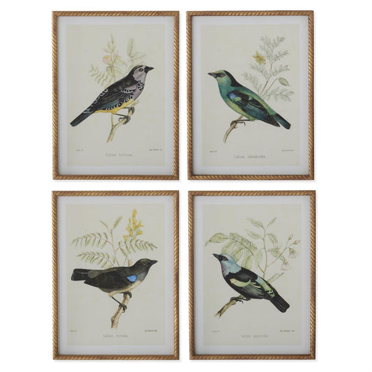 23.5 Inch Twisted Gold Framed Bird Print