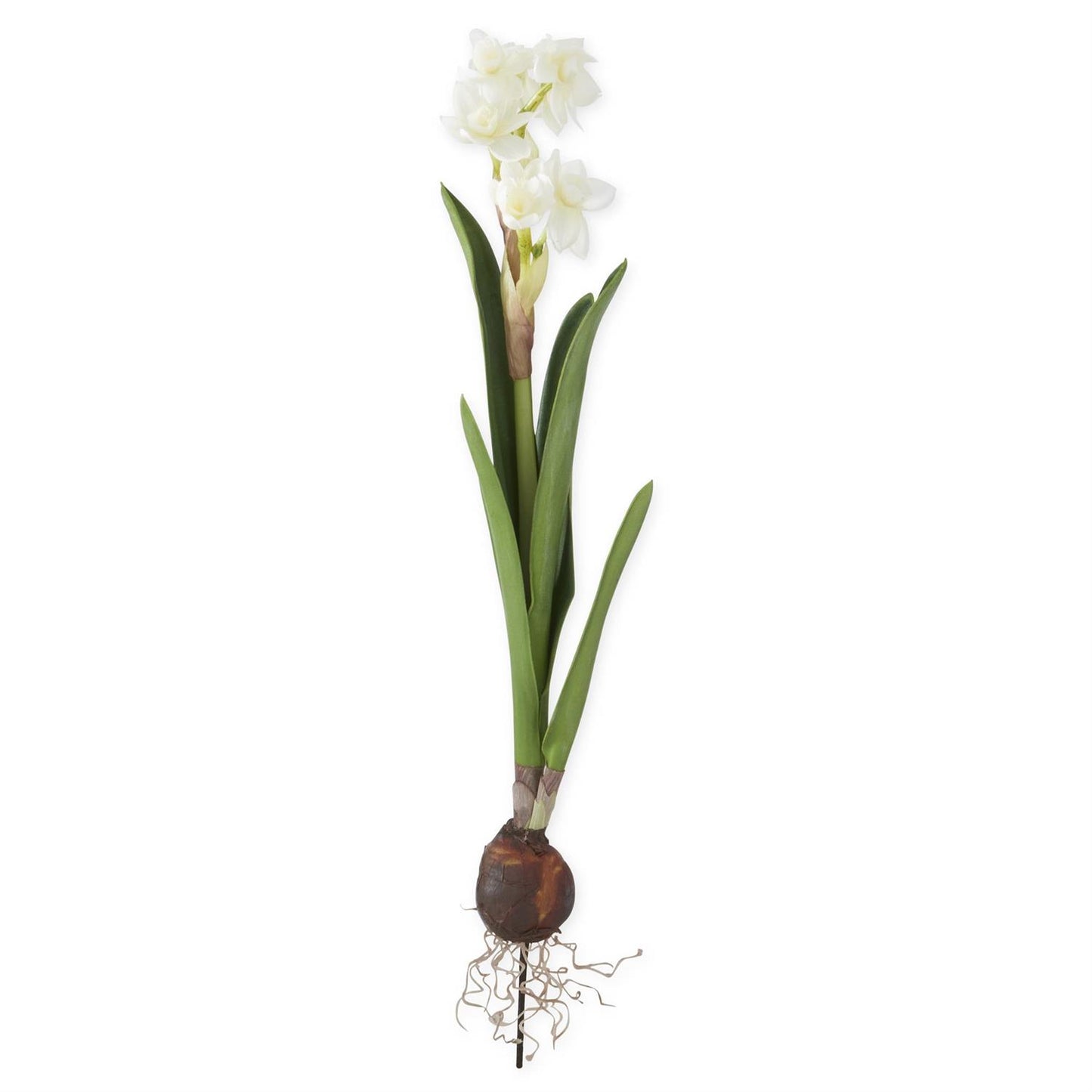 19.5 Inch White Real Touch Paperwhites Bulb Pick
