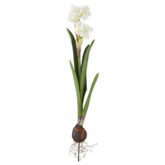 19.5 Inch White Real Touch Paperwhites Bulb Pick
