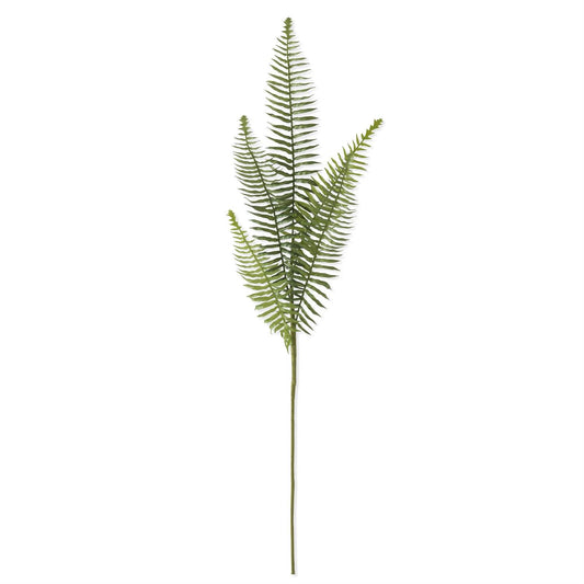 35.5 Inch Fern Stem
