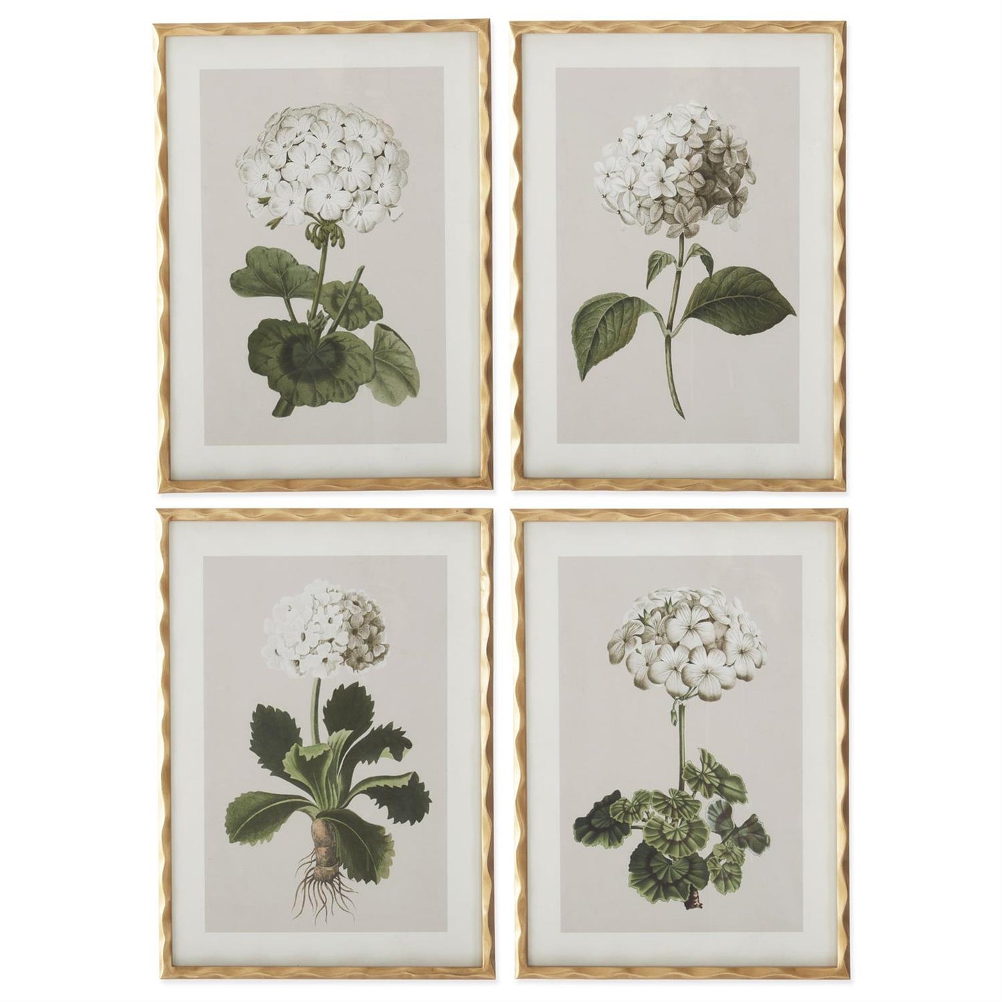27.5 Inch Gold Ornate Wood Framed White Geranium Prints