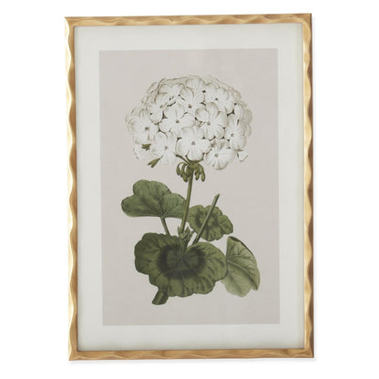 27.5 Inch Gold Ornate Wood Framed White Geranium Prints