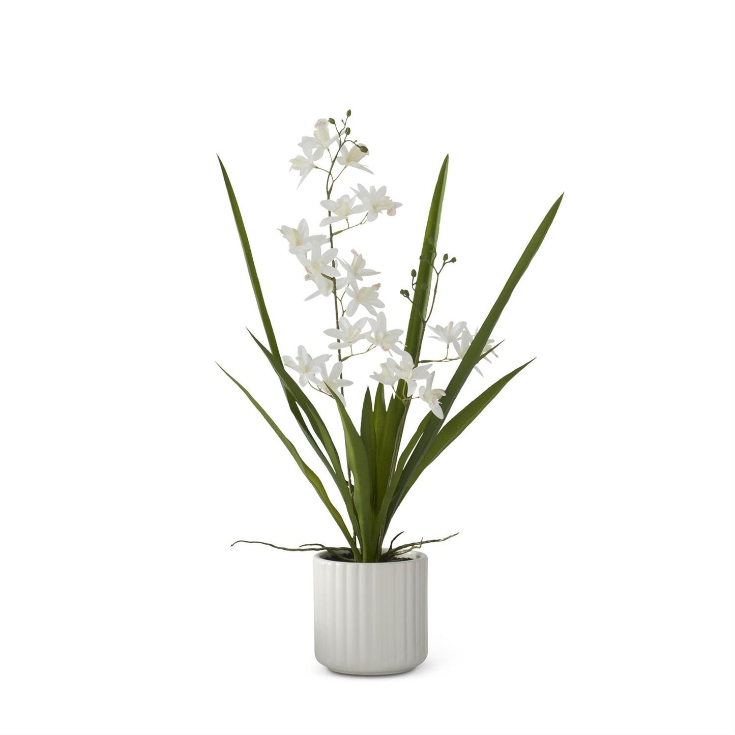 21.75 Inch Real Touch White Orchid in White Ribbed
