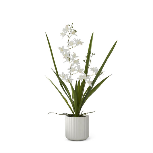21.75 Inch Real Touch White Orchid in White Ribbed