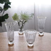 Set - Audrey Stemless All Purpose Glass with Gold Rim Set of 6 (Clear and Gold) 8 fl oz