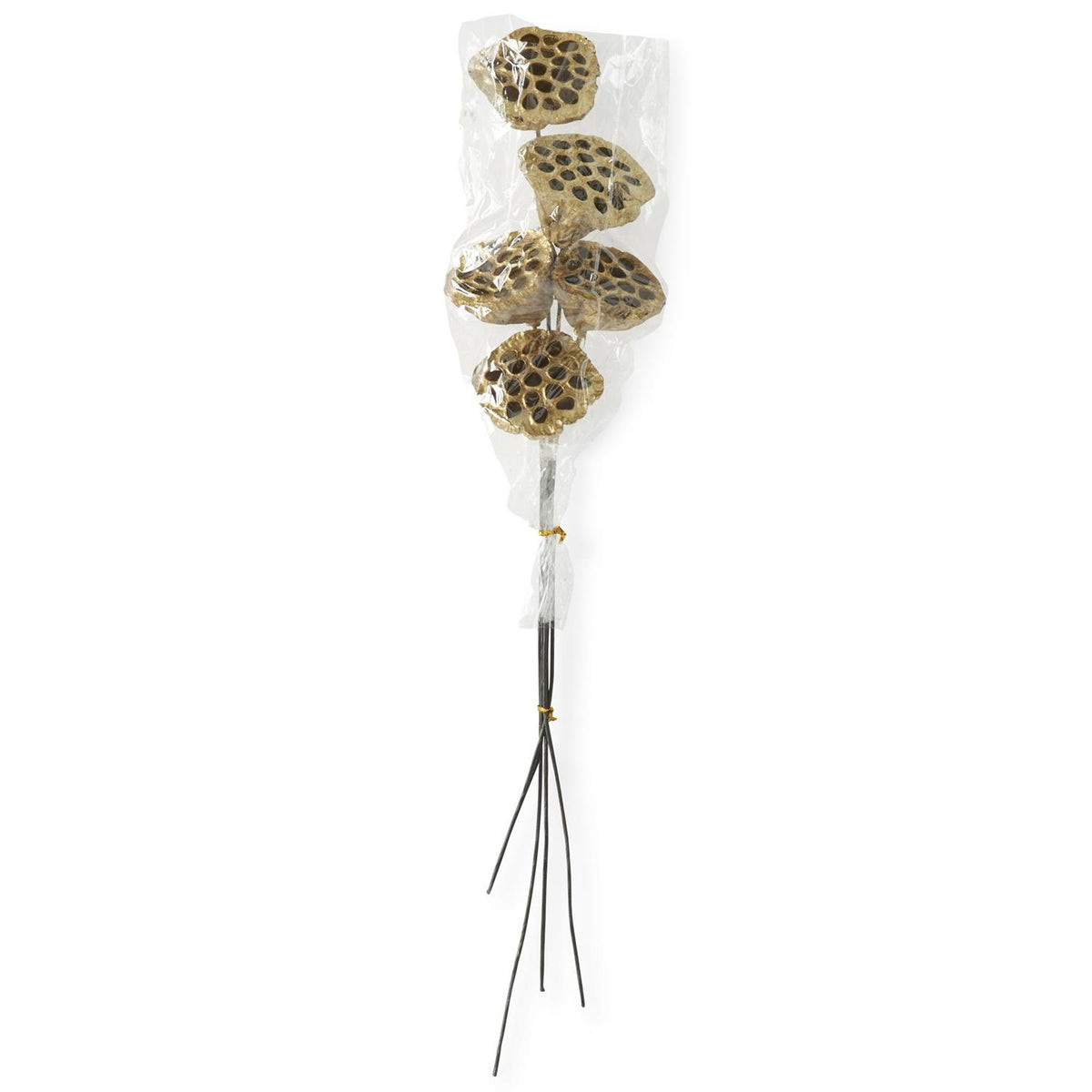 Gold Lotus Seedpod Stem, 21 Inch, view 2