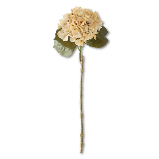 24.5 Inch Cream Real Touch Hydrangea