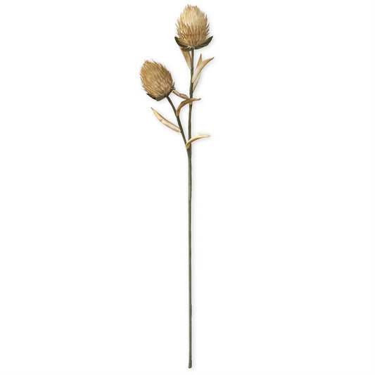 Faux Tan and Green Spiky Pod Stem, 35 Inch
