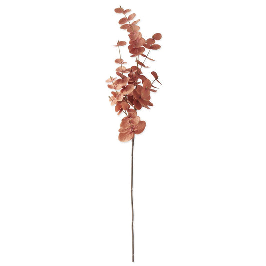 35 Inch Orange Eucalyptus Stem