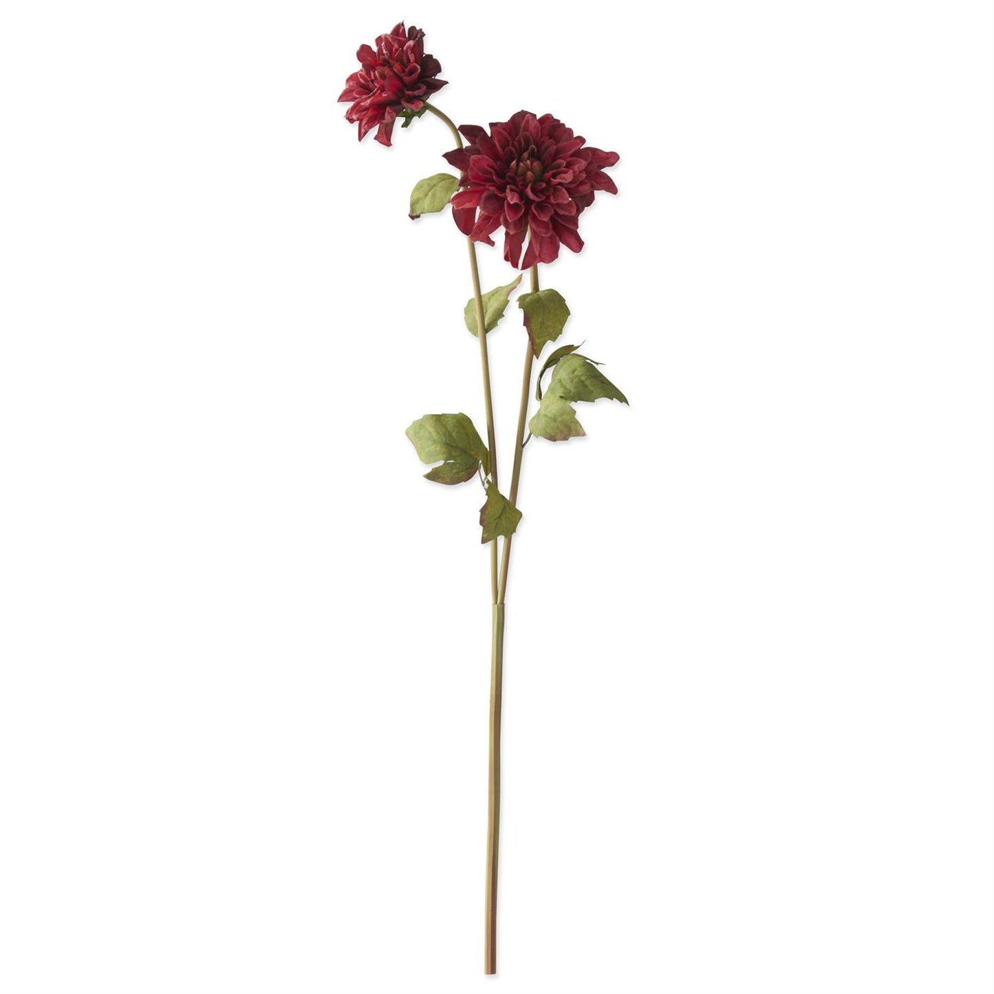 24 Inch Dahlia Double Blossom Stem - Burgundy