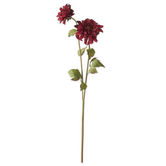 24 Inch Dahlia Double Blossom Stem - Burgundy