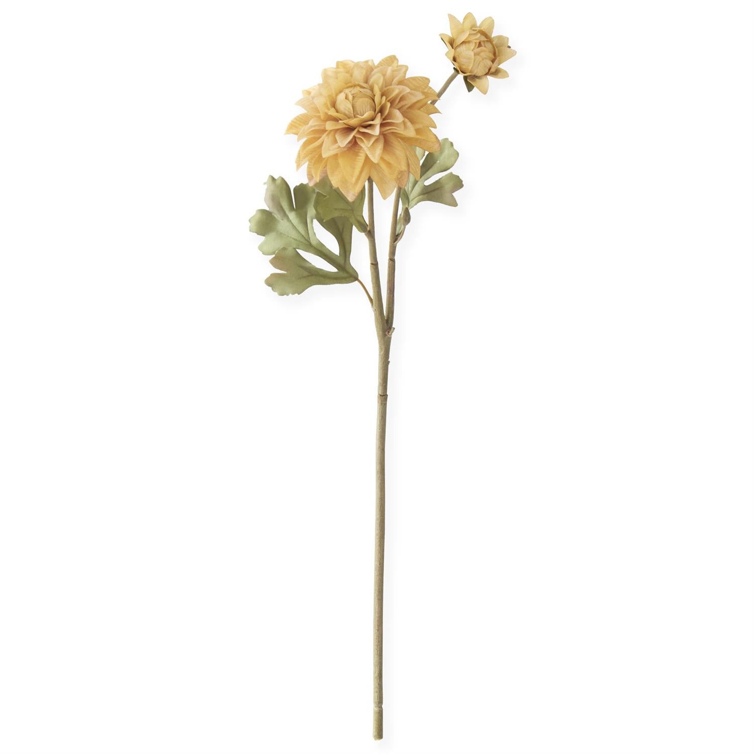 21.5 Inch Yellow Blossom & Bud Dahlia Stem