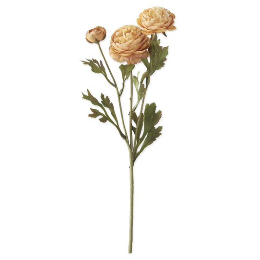 20 Inch Yellow Two Blossom & Bud Ranunculus Stem