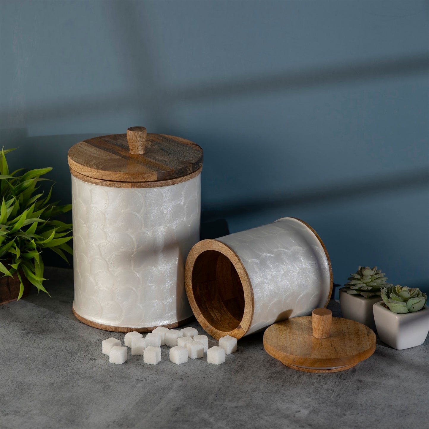 Mango Wood Canister
