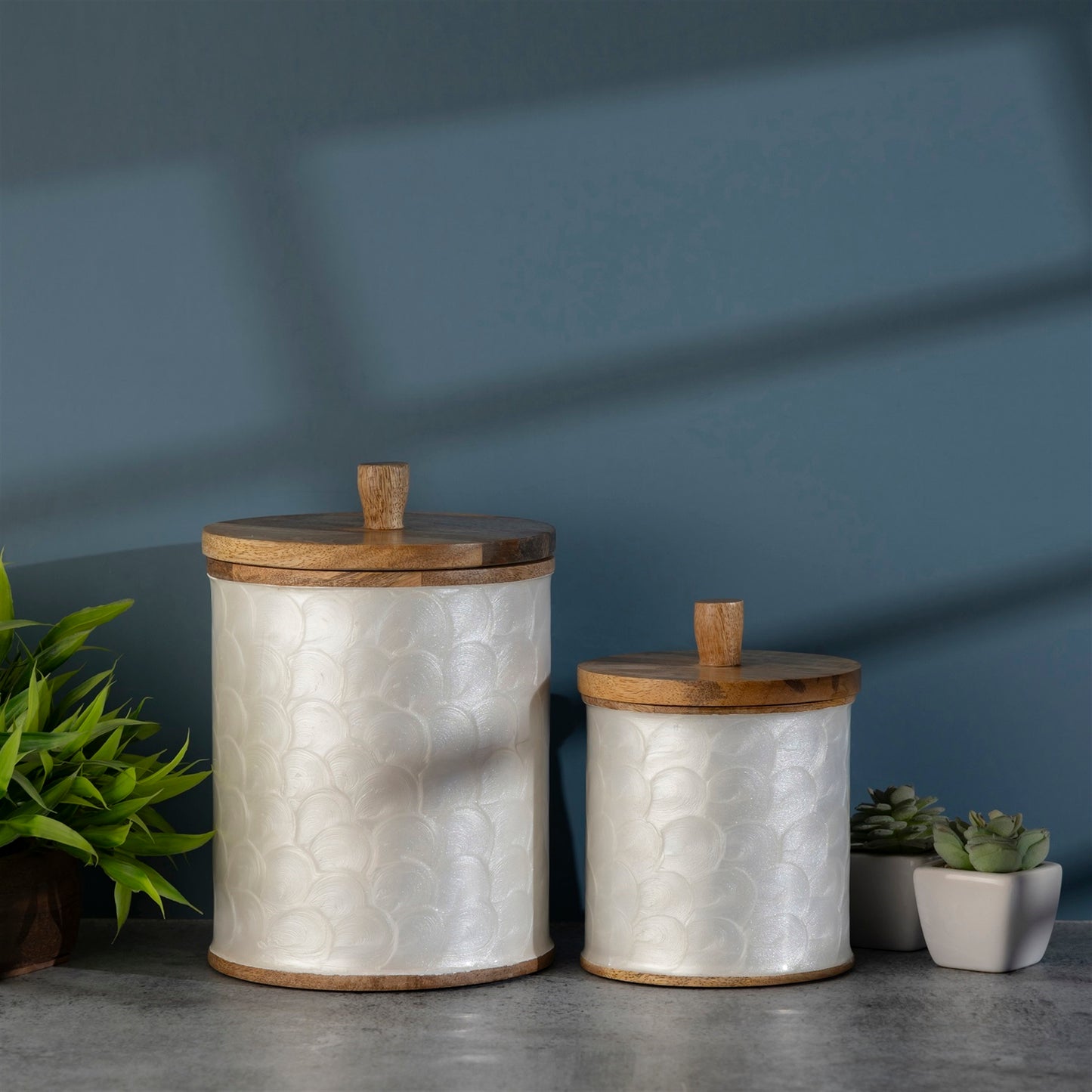 Mango Wood Canister