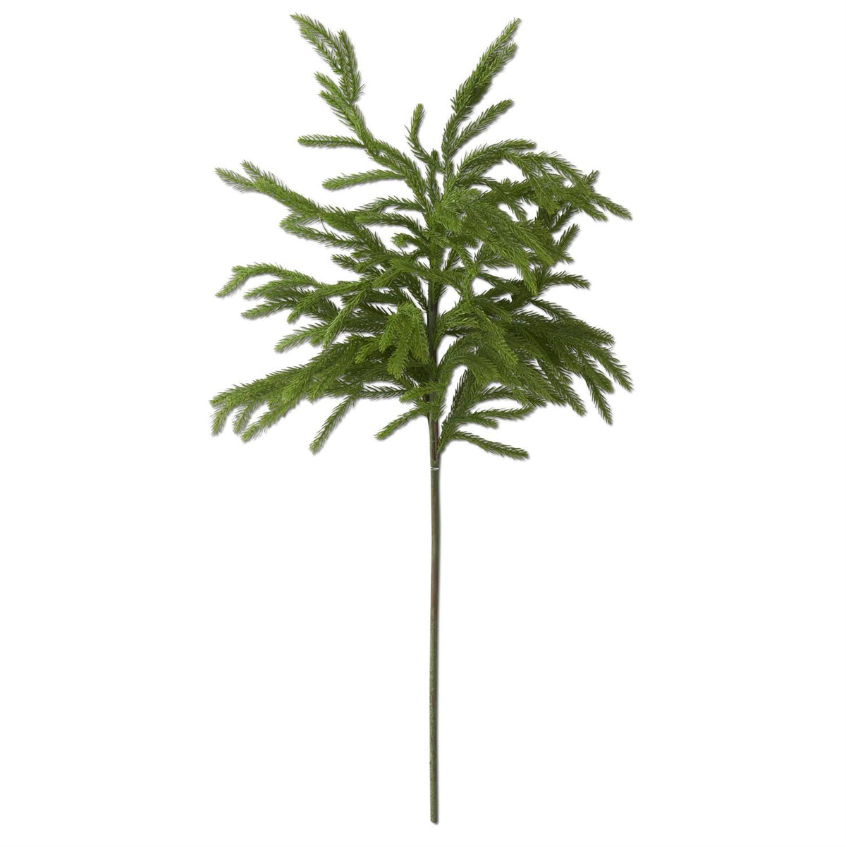 Real Touch Norfolk Pine Stem, 32 Inch
