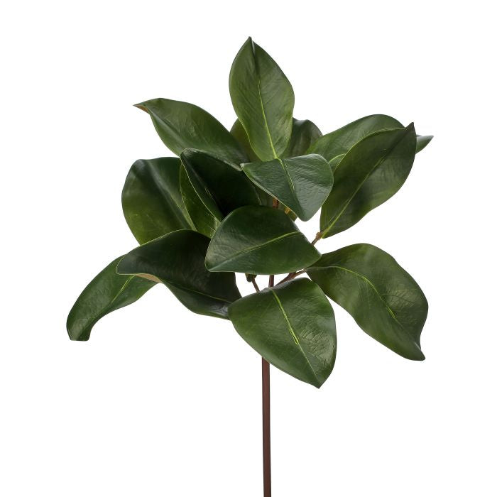 Magnolia Leaf Spray - 16" - Natural Touch