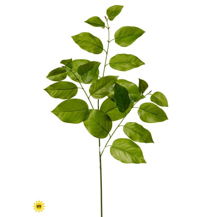 Salal Leaf Spray 31" - UV Protected